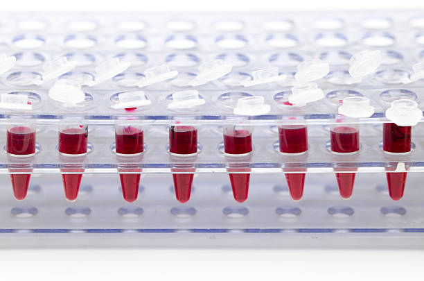 istock Blood collection tube 528371139