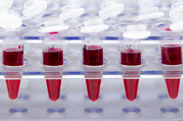 istock Blood collection tube 528371357