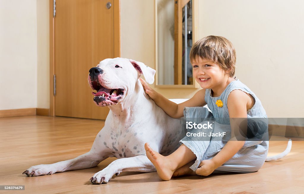 small smiling girl on the floor with dog small smiling girl on the floor with dogo Argentino (focus on dog) 2-3 Years Stock Photo