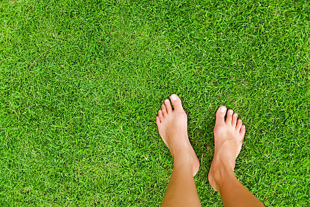 femme pieds sur l'herbe - pieds nus photos et images de collection