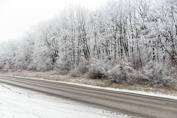 istock Winter landscape, forest near the road 528378169