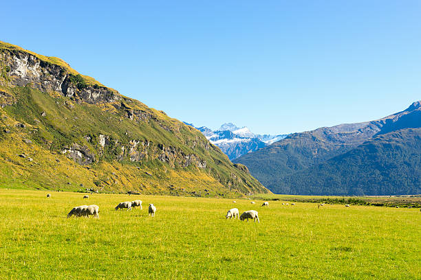 istock Picturesque landscape 528379261