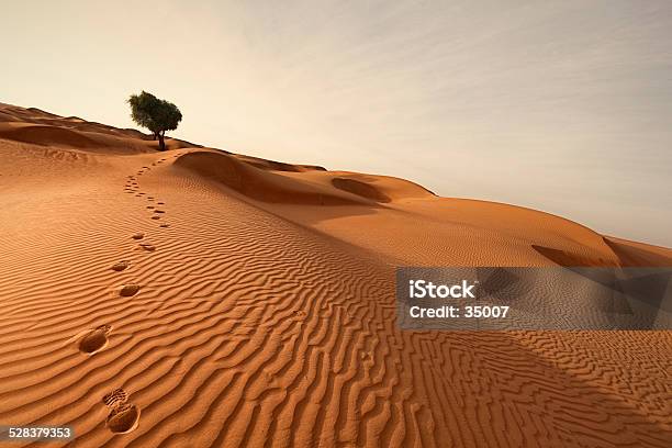 Footprints Out Of The Desert Stock Photo - Download Image Now - Desert Area, Oman, Footprint