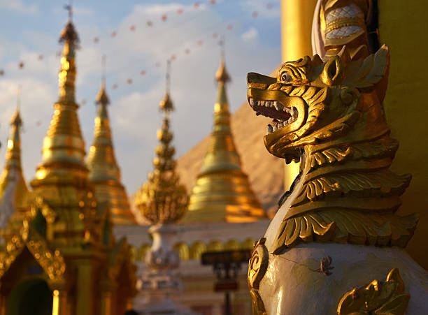 мьянма лев - shwedagon pagoda фотографии стоковые фото и изображения