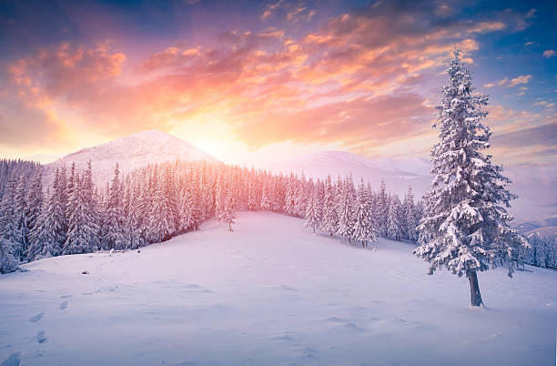 istock Colorful winter sunrise in the mountains 528392243