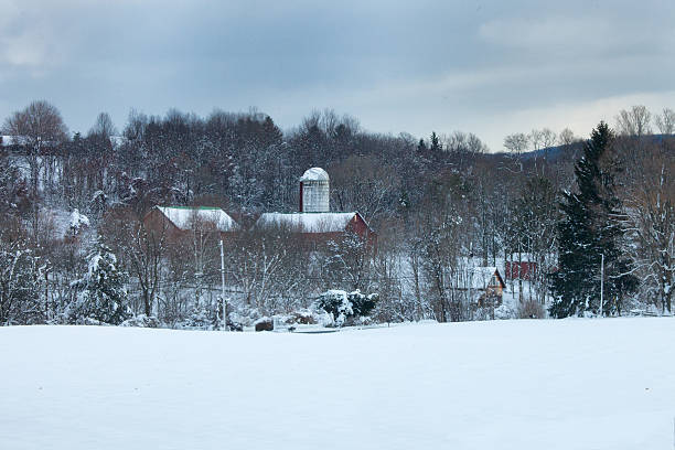 istock Red Barn in New England, Early Winter 528393977