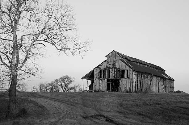 istock Black and white of barn on a hill 528394861