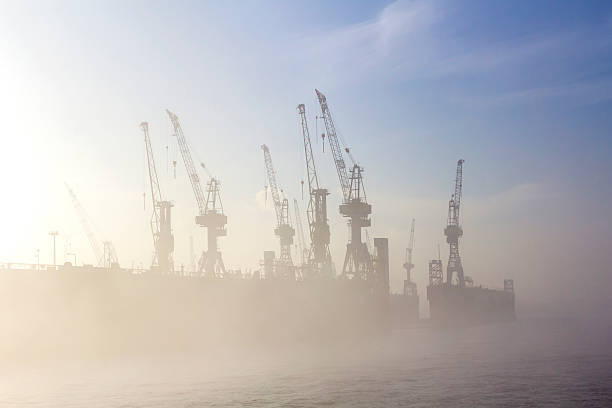 istock silhouette of cranes in fog 528410709