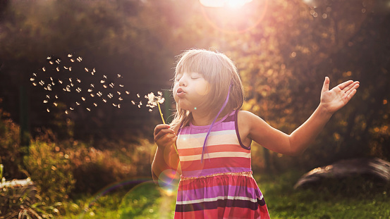 little girl blowing dandelion in the park