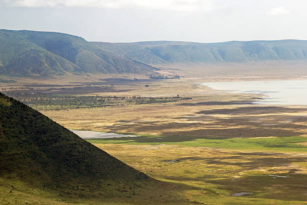 vista panorámica de ngorongoro crater y rim. - crater rim fotografías e imágenes de stock