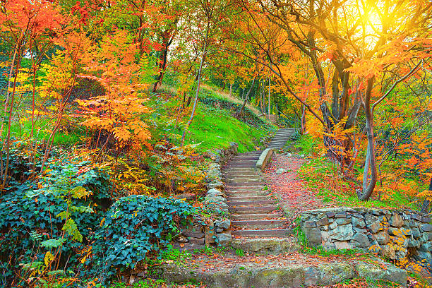 istock Botanical Garden in Tbilisi 528412543