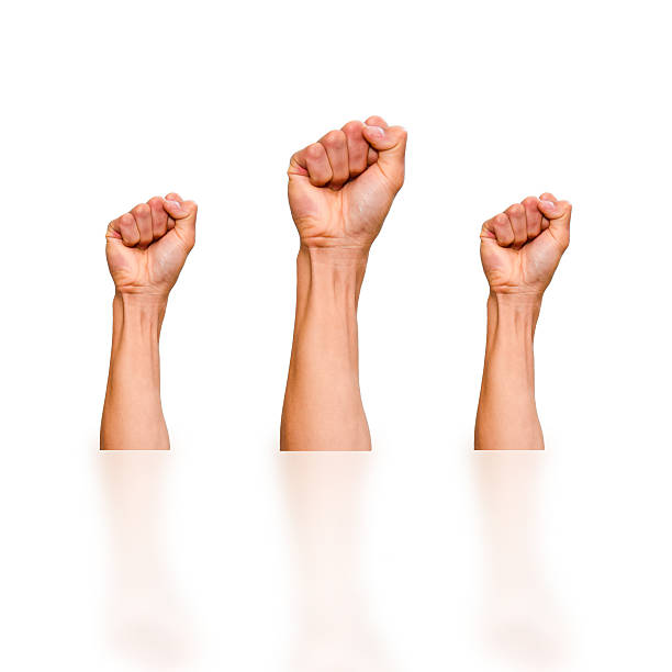 istock Clenched fist  on a white background for Fight, strong conceft 528412999