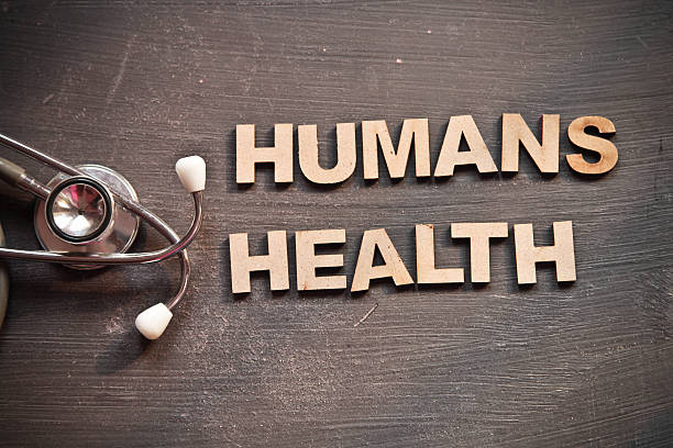 istock Health care concept 528413121