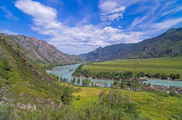 istock Katun River valley, Altai, Russia. 528414569