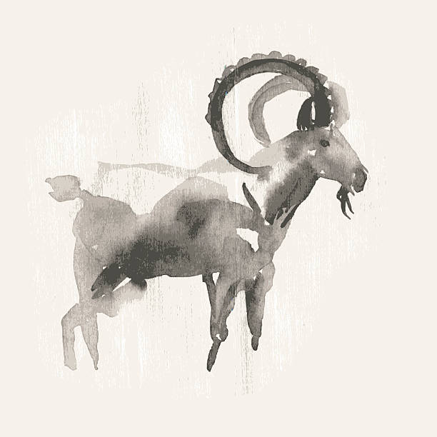 New Year Vector illustration of mountain goat, symbol of 2015. Watercolor (hand draw). capricorn illustrations stock illustrations