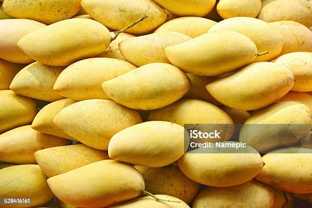 Mangoes Stock Photo - Download Image Now - Agriculture, Appetizer, Backgrounds