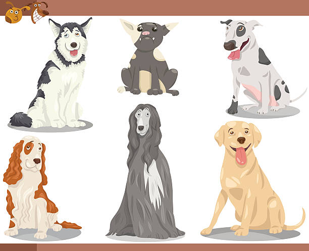 hund rassen cartoon illustration-set - dog malamute sled dog bulldog stock-grafiken, -clipart, -cartoons und -symbole