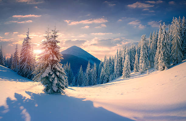istock Beautiful winter sunrise 528417117