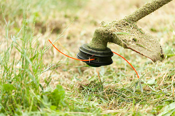 segar el césped - hedge clippers weed trimmer grass lawn fotografías e imágenes de stock