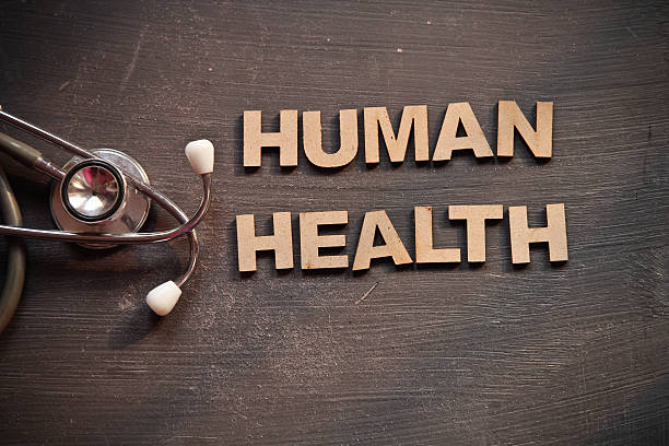 istock Health care concept 528417909