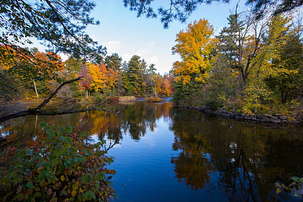 istock Canadian Autumn landscape 528418492