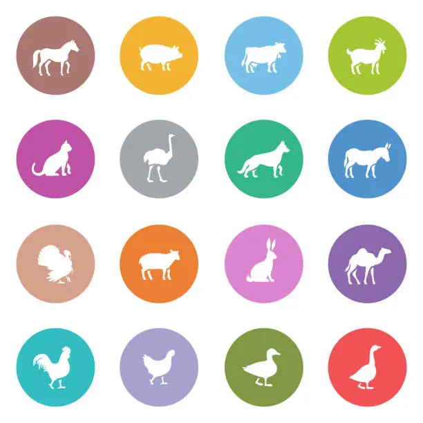 Vector illustration of Icon Set of Farm Animals
