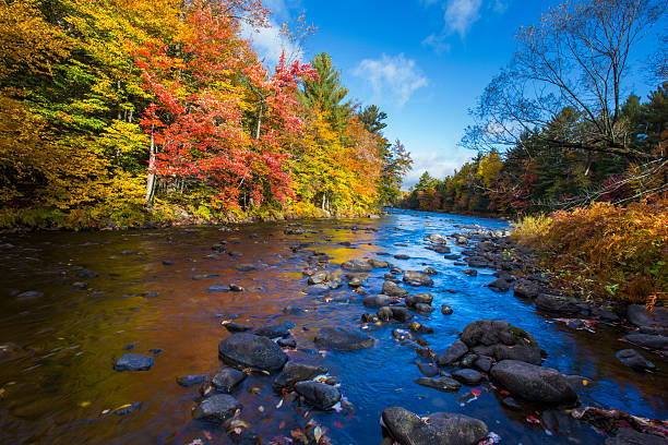 istock Canadian autumn 528418998