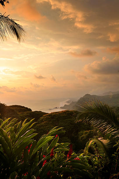 海の眺め、プンタレナスコスタリカ - costa rican sunset ストックフォトと画像