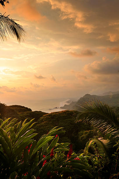 z widokiem na ocean, puntarenas costa rica - costa rican sunset zdjęcia i obrazy z banku zdjęć