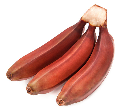 Three red bananas on bunch isolatet on white