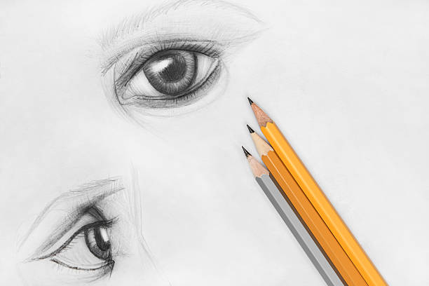 Eyes of Emilia Pencil sketch of female eyes on white paper with pencils pencil cartoon stock pictures, royalty-free photos & images