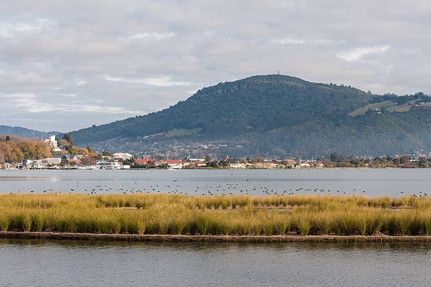 lake Rotorua in autumn, New Zealand