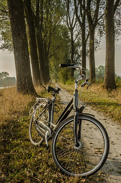 istock Cruiser Bike on a Dirt Path 528428753