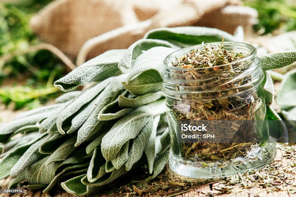 Dried sage in a glass jar, fresh sage Dried sage in a glass jar, fresh sage on the vintage wooden table, preparation of medicinal herbs drying, selective focus Sage Stock Photo