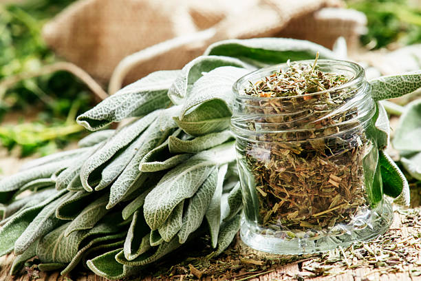 Dried sage in a glass jar, fresh sage Dried sage in a glass jar, fresh sage on the vintage wooden table, preparation of medicinal herbs drying, selective focus sage photos stock pictures, royalty-free photos & images