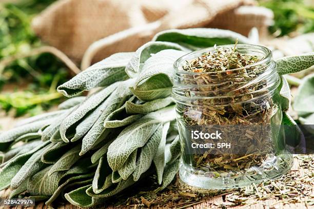 Dried Sage In A Glass Jar Fresh Sage Stock Photo - Download Image Now - Sage, Sagebrush, Herbal Medicine