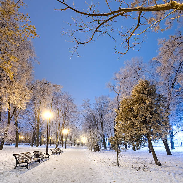 istock Footpath in a fabulous winter city park 528430021