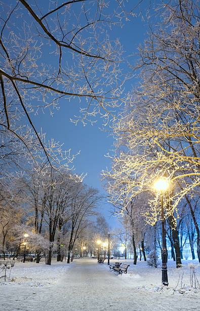istock Footpath in a fabulous winter city park 528430065