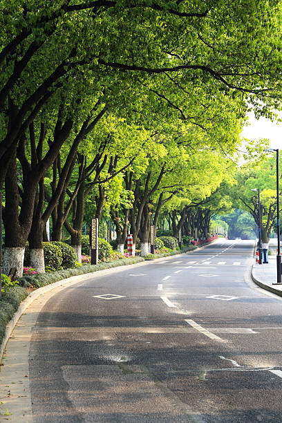 istock Crooked road to distant suburbs in China 528431674