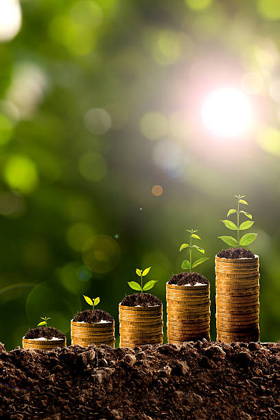 istock Money growing in soil 528432058