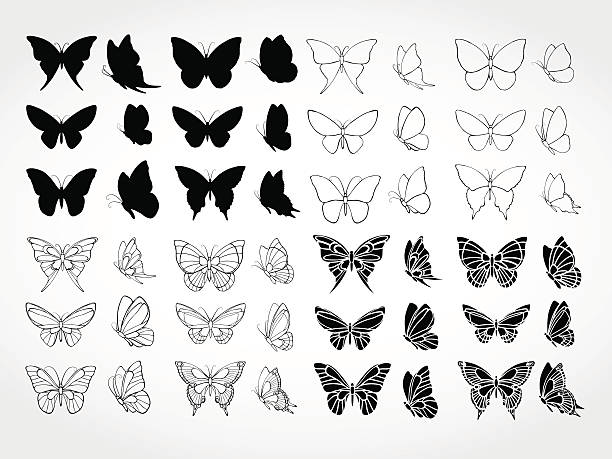 ilustraciones, imágenes clip art, dibujos animados e iconos de stock de vector de conjunto de siluetas negras mariposas. - mariposa lepidópteros