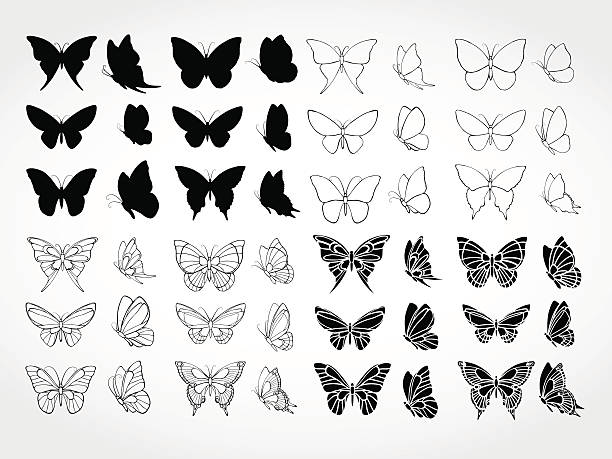 ilustrações, clipart, desenhos animados e ícones de conjunto de vetor de silhuetas negras borboletas. - butterfly