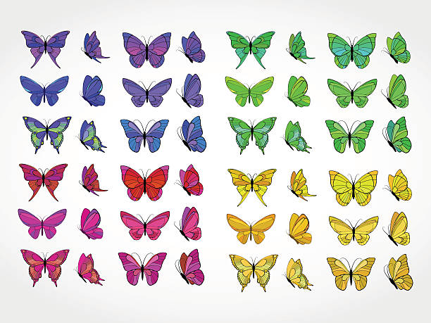 Vector set of colored butterflies Vector collection of colored butterflies butterfly tattoo stencil stock illustrations
