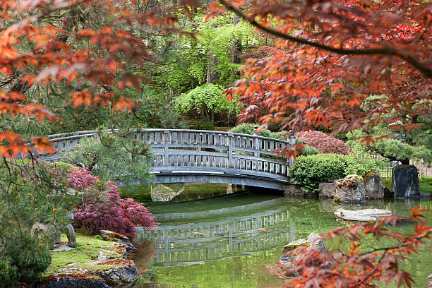 istock Stone bridge framed by the foliage. 528433380