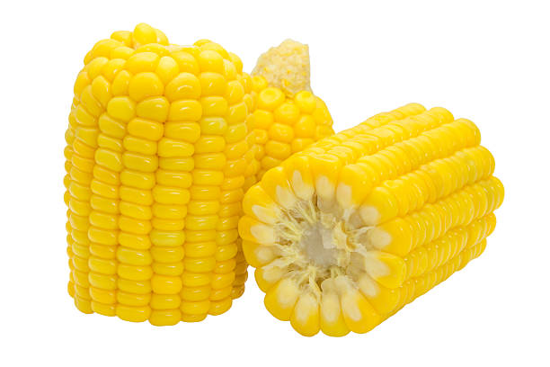 istock Boiled sweet corn isolated on a white background 528434686