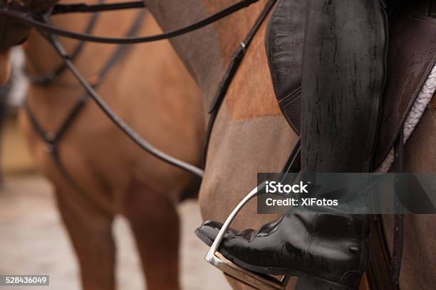 Close Up Of A Huntsman Ready For Fox Hunt Stock Photo - Download Image Now - Activity, Black Color, Brown