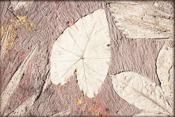 istock Marks of leaf on the concrete pavement. 528436101