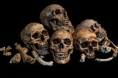 group of skulls in genocide concept