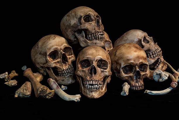 group of skulls in genocide concept Still life photography with group of human skulls and bones in genocide concept human skull stock pictures, royalty-free photos & images
