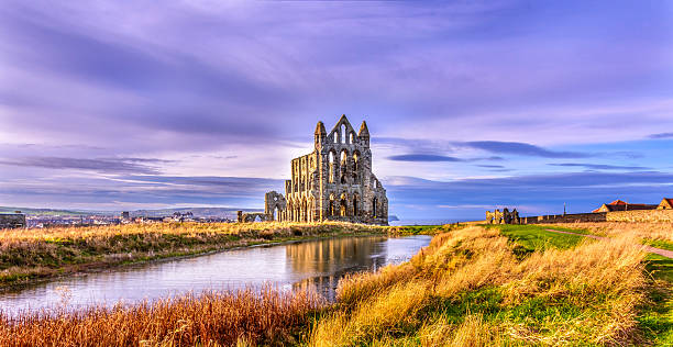 whitby abbey - yorkshire - north yorkshire stok fotoğraflar ve resimler